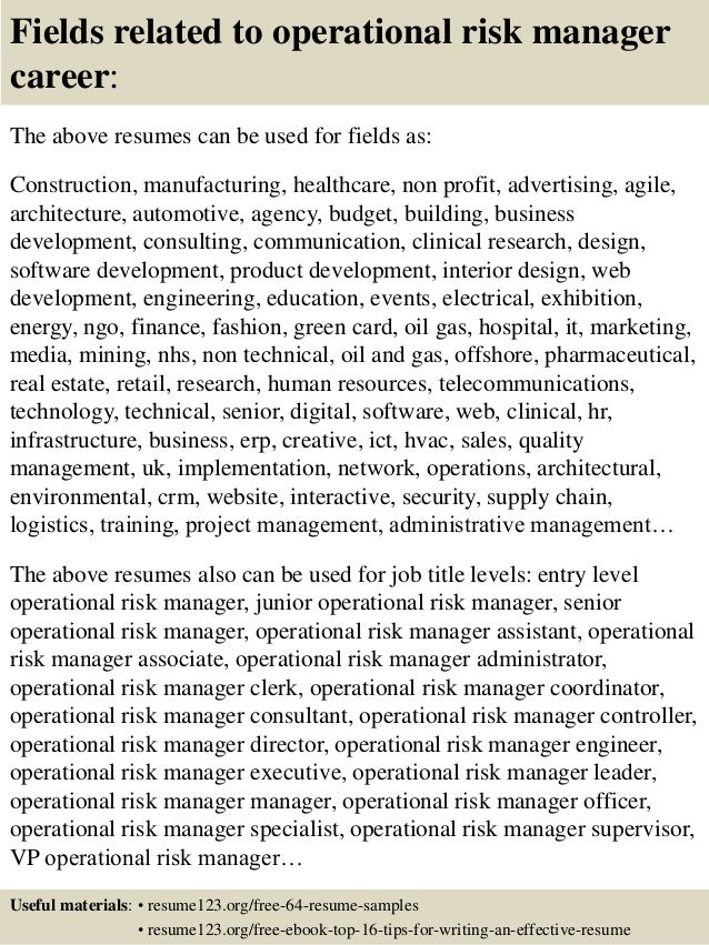 risk management resume samples