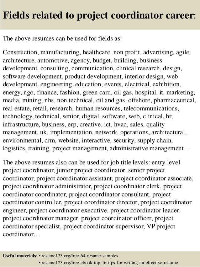 Project manager objective resume samples