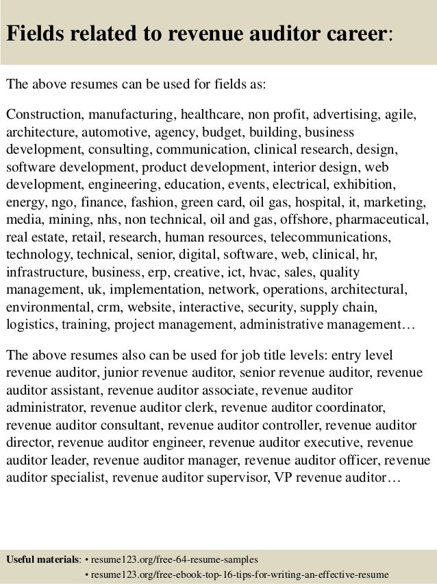 audit resumes