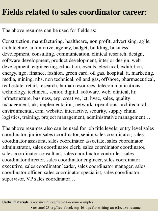 junior sales resume
