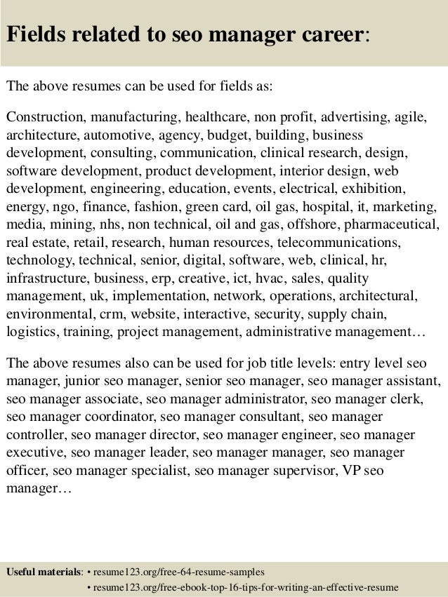 seo manager resumes