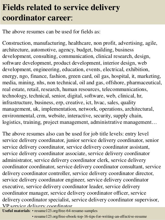 Service delivery platform resume