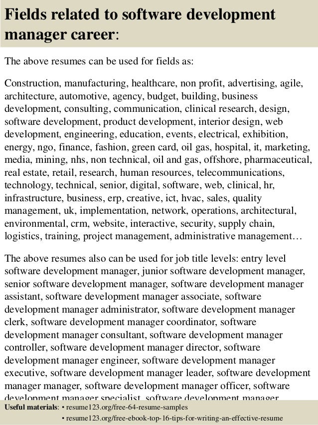 Software director manager resume