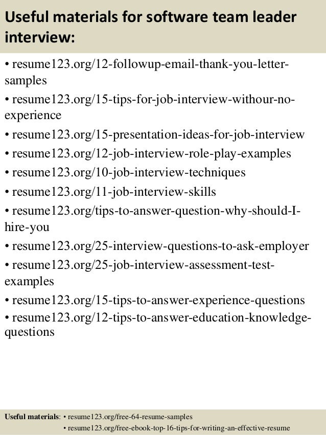 Sample resume team lead