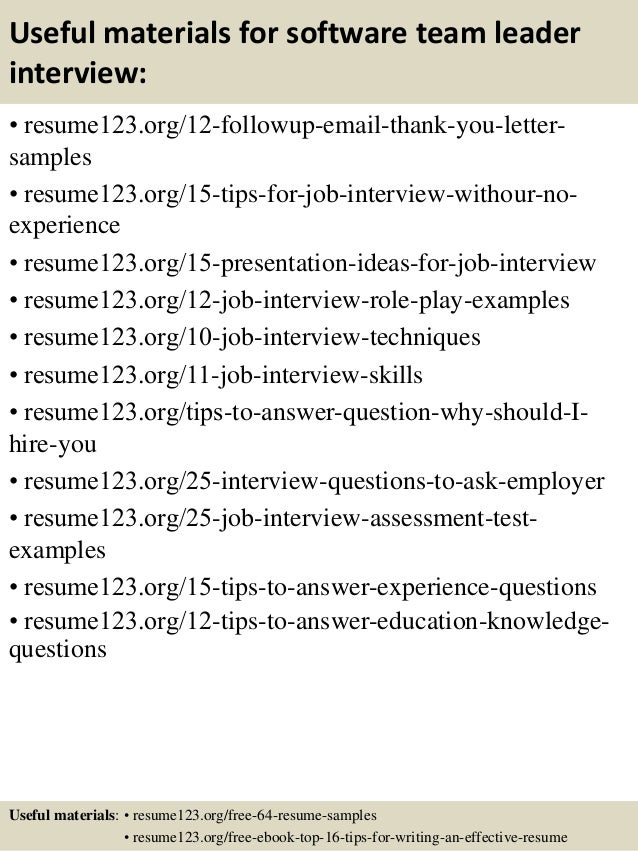 sample resume team leader