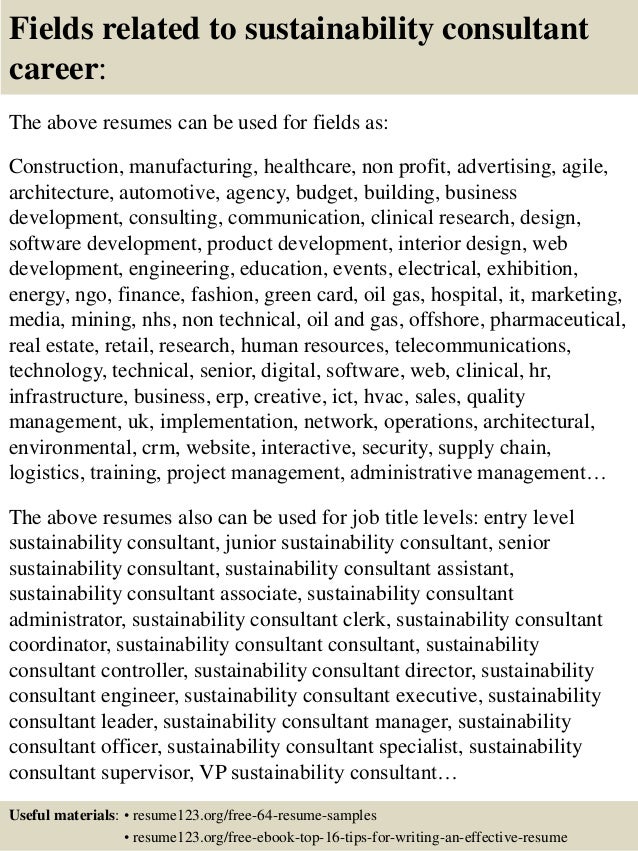business objects resume sample