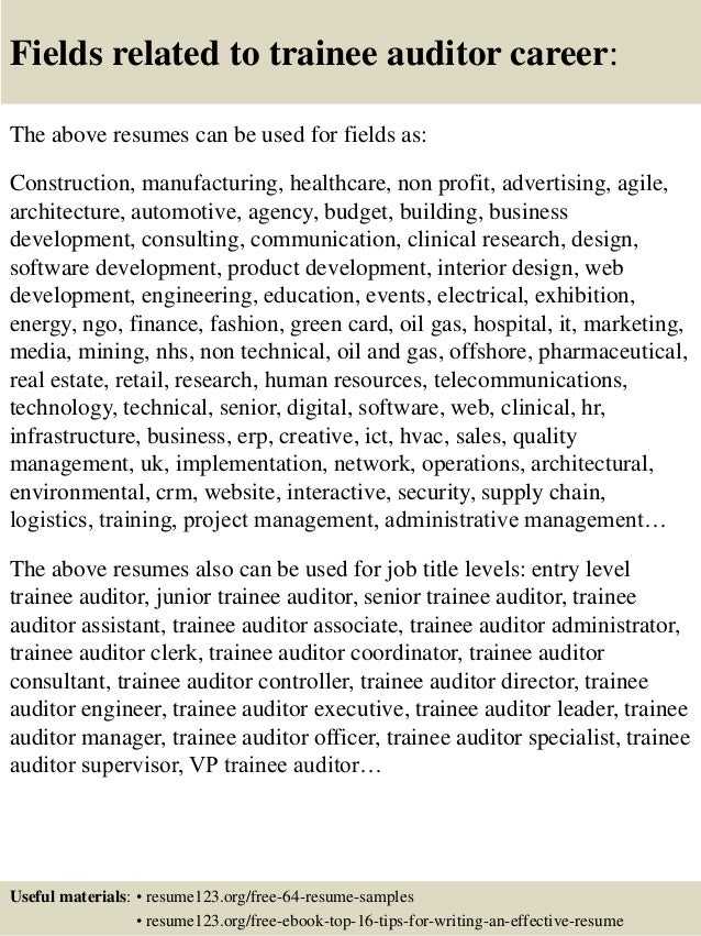 audit resumes
