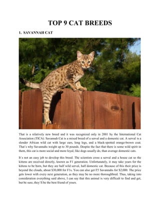 TOP 9 CAT BREEDS
1. SAVANNAH CAT
That is a relatively new breed and it was recognized only in 2001 by the International Cat
Association (TICA). Savannah Cat is a mixed breed of a serval and a domestic cat. A serval is a
slender African wild cat with large ears, long legs, and a black-spotted orange-brown coat.
That`s why Savannahs weight up to 30 pounds. Despite the fact that there is some wild spirit in
them, this cat is more social and more loyal, like dogs usually do, than average domestic cats.
It`s not an easy job to develop this breed. The scientists cross a serval and a house cat so the
kittens are received directly, known as F1 generation. Unfortunately, it may take years for the
kittens to be born, but they are half wild serval, half domestic cat. Because of this their price is
beyond the clouds, about $30,000 for F1s. You can also get F5 Savannahs for $2,000. The price
gets lower with every next generation, as they may be no more thoroughbred. Thus, taking into
consideration everything said above, I can say that this animal is very difficult to find and get,
but be sure, they`ll be the best friend of yours.
 