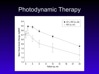 Photodynamic Therapy 