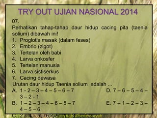 Copyright@herfensuryatiCopyright@herfensuryati
07.
Perhatikan tahap-tahap daur hidup cacing pita (taenia
solium) dibawah ini!
1. Proglotis masak (dalam feses)
2. Embrio (zigot)
3. Tertelan oleh babi
4. Larva onkosfer
5. Tertelan manusia
6. Larva sistiserkus
7. Cacing dewasa
Urutan daur hidup Taenia solium adalah ...
A. 1 - 2 – 3 – 4 – 5 – 6 – 7 D. 7 – 6 – 5 – 4 –
3 – 2 - 1
B. 1 – 2 – 3 – 4 – 6 – 5 – 7 E. 7 – 1 – 2 – 3 –
4 – 5 – 6
C. 2 – 4 – 5 – 6 – 7 – 1 – 3
TRY OUT UJIAN NASIONAL 2014
 