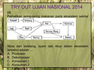 Copyright@herfensuryatiCopyright@herfensuryati
09.
Perhatikan jaring-jaring makanan pada ekosistem sekitar
hutan
Nicia dari belalang, ayam dan tikus dalam ekosistem
tersebut adalah ....
A. Produsen
B. Dekomposer
C. Konsumen I
D. Konsumen 2
E. Karnivora I
TRY OUT UJIAN NASIONAL 2014
 