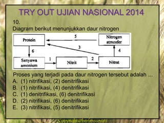 Copyright@herfensuryatiCopyright@herfensuryati
10.
Diagram berikut menunjukkan daur nitrogen
Proses yang terjadi pada daur nitrogen tersebut adalah ...
A. (1) nitrifikasi, (2) denitrifikasi
B. (1) nitrifikasi, (4) denitrifikasi
C. (1) denitrifikasi, (6) denitrifikasi
D. (2) nitrifikasi, (6) denitrifikasi
E. (3) nitrifikasi, (5) denitrifikasi
TRY OUT UJIAN NASIONAL 2014
 