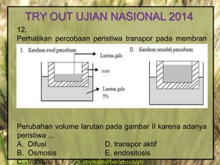 Copyright@herfensuryatiCopyright@herfensuryati
12.
Perhatikan percobaan peristiwa transpor pada membran
sel tumbuhan
Perubahan volume larutan pada gambar II karena adanya
peristiwa ...
A. Difusi D. transpor aktif
B. Osmosis E. endositosis
C. Imbibisi
TRY OUT UJIAN NASIONAL 2014
 