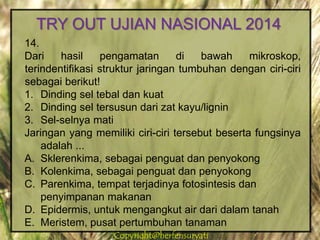 Copyright@herfensuryatiCopyright@herfensuryati
14.
Dari hasil pengamatan di bawah mikroskop,
terindentifikasi struktur jaringan tumbuhan dengan ciri-ciri
sebagai berikut!
1. Dinding sel tebal dan kuat
2. Dinding sel tersusun dari zat kayu/lignin
3. Sel-selnya mati
Jaringan yang memiliki ciri-ciri tersebut beserta fungsinya
adalah ...
A. Sklerenkima, sebagai penguat dan penyokong
B. Kolenkima, sebagai penguat dan penyokong
C. Parenkima, tempat terjadinya fotosintesis dan
penyimpanan makanan
D. Epidermis, untuk mengangkut air dari dalam tanah
E. Meristem, pusat pertumbuhan tanaman
TRY OUT UJIAN NASIONAL 2014
 