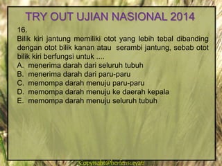 Copyright@herfensuryatiCopyright@herfensuryati
16.
Bilik kiri jantung memiliki otot yang lebih tebal dibanding
dengan otot bilik kanan atau serambi jantung, sebab otot
bilik kiri berfungsi untuk ....
A. menerima darah dari seluruh tubuh
B. menerima darah dari paru-paru
C. memompa darah menuju paru-paru
D. memompa darah menuju ke daerah kepala
E. memompa darah menuju seluruh tubuh
TRY OUT UJIAN NASIONAL 2014
 