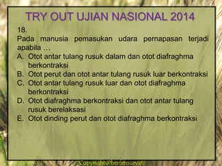 Copyright@herfensuryatiCopyright@herfensuryati
18.
Pada manusia pemasukan udara pernapasan terjadi
apabila …
A. Otot antar tulang rusuk dalam dan otot diafraghma
berkontraksi
B. Otot perut dan otot antar tulang rusuk luar berkontraksi
C. Otot antar tulang rusuk luar dan otot diafraghma
berkontraksi
D. Otot diafraghma berkontraksi dan otot antar tulang
rusuk berelaksasi
E. Otot dinding perut dan otot diafraghma berkontraksi
TRY OUT UJIAN NASIONAL 2014
 
