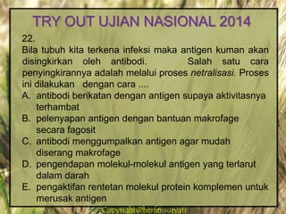 Copyright@herfensuryatiCopyright@herfensuryati
22.
Bila tubuh kita terkena infeksi maka antigen kuman akan
disingkirkan oleh antibodi. Salah satu cara
penyingkirannya adalah melalui proses netralisasi. Proses
ini dilakukan dengan cara ....
A. antibodi berikatan dengan antigen supaya aktivitasnya
terhambat
B. pelenyapan antigen dengan bantuan makrofage
secara fagosit
C. antibodi menggumpalkan antigen agar mudah
diserang makrofage
D. pengendapan molekul-molekul antigen yang terlarut
dalam darah
E. pengaktifan rentetan molekul protein komplemen untuk
merusak antigen
TRY OUT UJIAN NASIONAL 2014
 