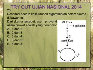 Copyright@herfensuryatiCopyright@herfensuryati
25.
Respirasi secara keseluruhan digambarkan dalam skema
di bawah ini!
Dari skema tersebut, asam piruvat dan dekarboksilasi
asam piruvat adalah yang bernomor …
A. 1 dan 2
B. 2 dan 3
C. 3 dan 4
D. 3 dan 2
E. 4 dan 3
TRY OUT UJIAN NASIONAL 2014
 