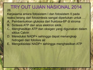 Copyright@herfensuryatiCopyright@herfensuryati
26.
Kerjasama antara fotosistem I dan fotosistem II pada
reaksi terang dari fotosintesis sangat diperlukan untuk …
A. Pembentukkan glukosa dari fruktosa-6P di stroma
B. Sintesis ATP dari arus elektron siklik
C. Menghasilkan ATP dan oksigen yang digunakan dalam
siklus Calvin
D. Mereduksi NADP+ sehingga dapat menangkap
hidrogen dari fotolisis air
E. Mengoksidasi NADP+ sehingga menghasilkan ATP
TRY OUT UJIAN NASIONAL 2014
 