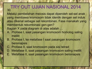 Copyright@herfensuryatiCopyright@herfensuryati
30.
Melalui pembelahan meiosis dapat diperoleh sel-sel anak
yang membawa kromosom tidak identik dengan sel induk
atau dikenal sebagai sel rekombinan. Fase manakah yang
membentuk rekombinasi gen-gen?
Bagian X pada diagram di atas adalah …
A. Profase I, saat pasangan kromosom homolog saling
melilit
B. Profase I, ke metafase I saat pasangan kromosom
bersinapsis
C. Profase II, saat kromosom pada sisi tetrad
D. Metafase II, saat pasangan kromosom saling melilit
E. Metafase II, saat pasangan kromosom bersinapsis
TRY OUT UJIAN NASIONAL 2014
 
