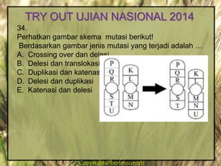 Copyright@herfensuryatiCopyright@herfensuryati
34.
Perhatkan gambar skema mutasi berikut!
Berdasarkan gambar jenis mutasi yang terjadi adalah …
A. Crossing over dan delesi
B. Delesi dan translokasi
C. Duplikasi dan katenasi
D. Delesi dan duplikasi
E. Katenasi dan delesi
TRY OUT UJIAN NASIONAL 2014
 