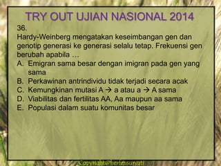 Copyright@herfensuryatiCopyright@herfensuryati
36.
Hardy-Weinberg mengatakan keseimbangan gen dan
genotip generasi ke generasi selalu tetap. Frekuensi gen
berubah apabila …
A. Emigran sama besar dengan imigran pada gen yang
sama
B. Perkawinan antrindividu tidak terjadi secara acak
C. Kemungkinan mutasi A  a atau a  A sama
D. Viabilitas dan fertilitas AA, Aa maupun aa sama
E. Populasi dalam suatu komunitas besar
TRY OUT UJIAN NASIONAL 2014
 