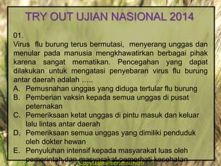 Copyright@herfensuryatiCopyright@herfensuryati
01.
Virus flu burung terus bermutasi, menyerang unggas dan
menular pada manusia mengkhawatirkan berbagai pihak
karena sangat mematikan. Pencegahan yang dapat
dilakukan untuk mengatasi penyebaran virus flu burung
antar daerah adalah …..
A. Pemusnahan unggas yang diduga tertular flu burung
B. Pemberian vaksin kepada semua unggas di pusat
peternakan
C. Pemeriksaan ketat unggas di pintu masuk dan keluar
lalu lintas antar daerah
D. Pemeriksaan semua unggas yang dimiliki penduduk
oleh dokter hewan
E. Penyuluhan intensif kepada masyarakat luas oleh
pemerintah dan masyarakat pemerhati kesehatan
TRY OUT UJIAN NASIONAL 2014
 