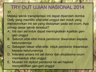 Copyright@herfensuryatiCopyright@herfensuryati
37.
Melalui teknik transplantasi inti dapat diperoleh domba
Dolly yang memiliki sifat-sifat unggul dari induk yang
mendonorkan inti sel yang disisipkan pada sel ovum. Apa
prinsip dasar teknik tersebut?
A. Inti dari sel induk dapat meningkatkan kualitas gen-
gen unggul
B. Seluruh sifat-sifat induk pendonor diwariskan kepada
keturunannya
C. Sebagian besar sifat-sifat induk pendonor diwariskan
kepada keturunannya
D. Interaksi antara inti sel donor dan sitoplasma ovum
membentuk sifat unggul
E. Muatan inti diploid pendonor ke sel haploid
mengaktifkan gen-gen unggul
TRY OUT UJIAN NASIONAL 2014
 