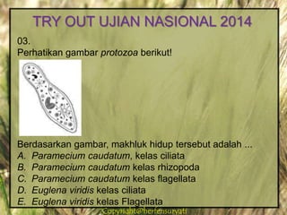 Copyright@herfensuryatiCopyright@herfensuryati
03.
Perhatikan gambar protozoa berikut!
Berdasarkan gambar, makhluk hidup tersebut adalah ...
A. Paramecium caudatum, kelas ciliata
B. Paramecium caudatum kelas rhizopoda
C. Paramecium caudatum kelas flagellata
D. Euglena viridis kelas ciliata
E. Euglena viridis kelas Flagellata
TRY OUT UJIAN NASIONAL 2014
 