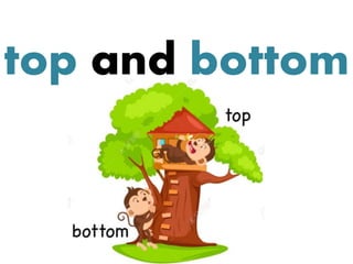 top and bottom
 