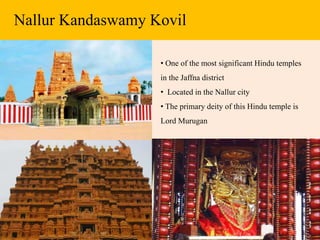 Nallur Kandaswamy Kovil
• One of the most significant Hindu temples
in the Jaffna district
• Located in the Nallur city
• The primary deity of this Hindu temple is
Lord Murugan
 