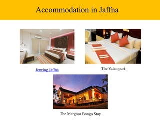 Accommodation in Jaffna
Jetwing Jaffna The Valampuri
The Margosa Bongo Stay
 
