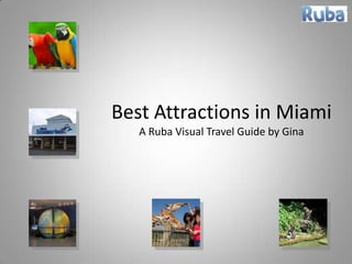 Best Attractions in MiamiA Ruba Visual Travel Guide by Gina 