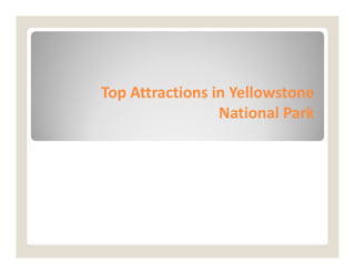 Top Attractions in Yellowstone
Top Attractions in Yellowstone
National Park
National Park
 