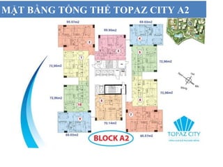 MẶT BẰNG TỔNG THỂ TOPAZ CITY A2
 