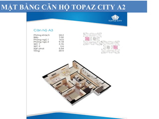 MẶT BẰNG CĂN HỘ TOPAZ CITY A2
 