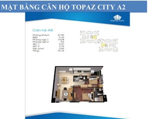 MẶT BẰNG CĂN HỘ TOPAZ CITY A2
 