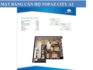 MẶT BẰNG CĂN HỘ TOPAZ CITY A2
 