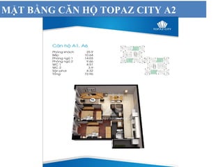 MẶT BẰNG CĂN HỘ TOPAZ CITY A2
 