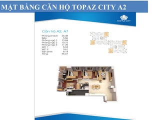 MẶT BẰNG CĂN HỘ TOPAZ CITY A2
 