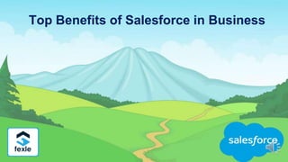 Top Benefits of Salesforce in Business
 
