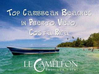 Top Caribbean Beaches in Puerto Viejo, Costa Rica