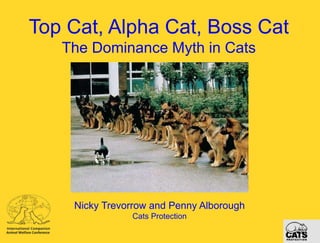 Top Cat, Alpha Cat, Boss Cat
The Dominance Myth in Cats

Nicky Trevorrow and Penny Alborough
Cats Protection

 