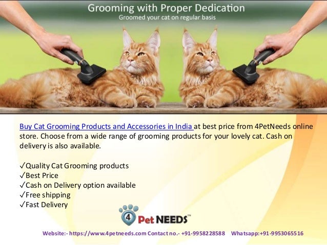 buy cat products online