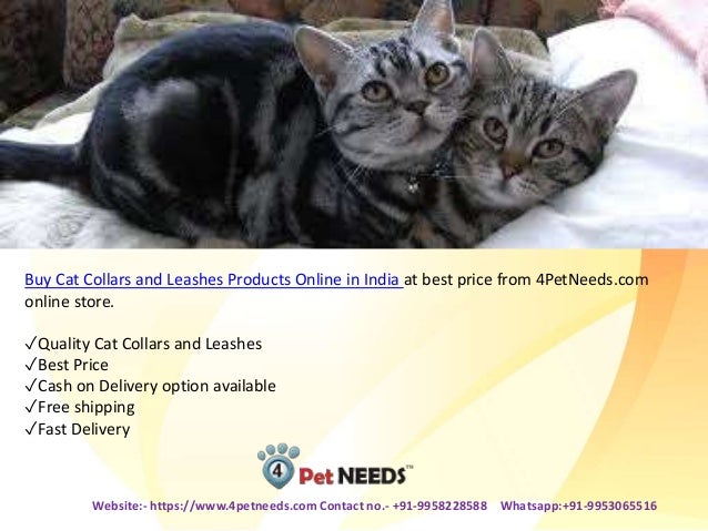 buy cat products online