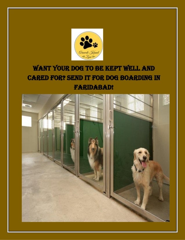 dog boarding service