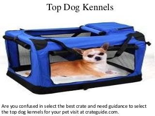 Top Dog Kennels
Are you confused in select the best crate and need guidance to select
the top dog kennels for your pet visit at crateguide.com.
 