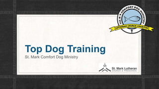 Top Dog Training
St. Mark Comfort Dog Ministry
 