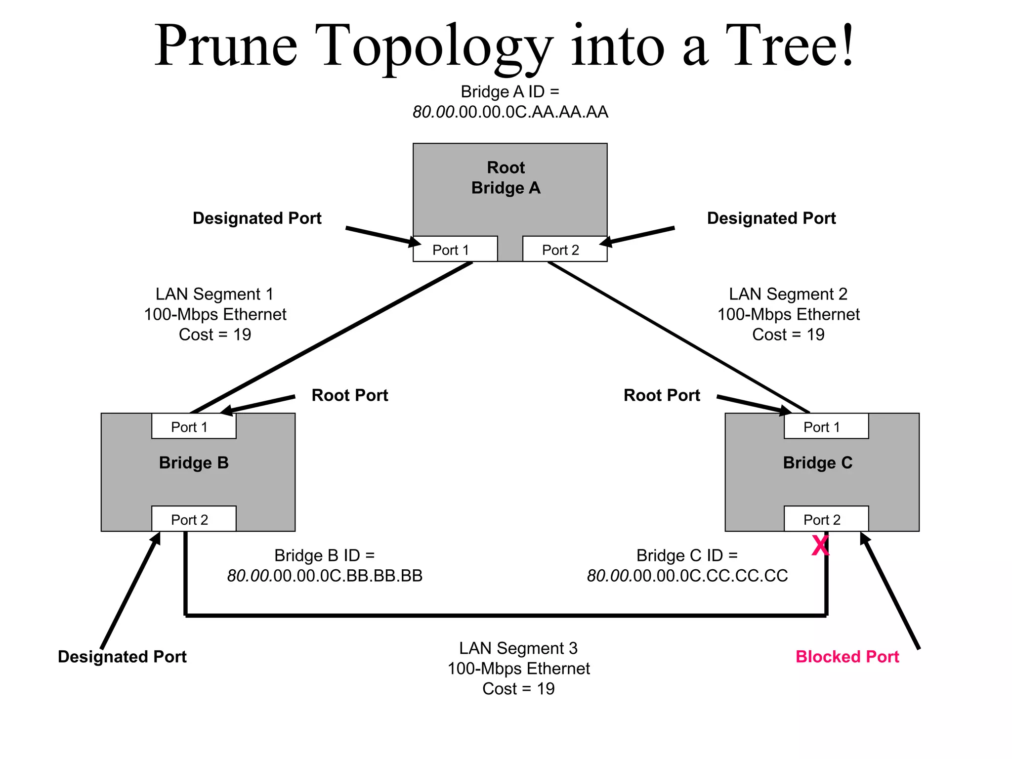 Prune Topology into a Tree!
                                                 Bridge A ID =
                                           80.00.00.00.0C.AA.AA.AA


                                                           Root
                                                         Bridge A
                  Designated Port                                                            Designated Port
                                                Port 1              Port 2


          LAN Segment 1                                                                        LAN Segment 2
         100-Mbps Ethernet                                                                    100-Mbps Ethernet
             Cost = 19                                                                            Cost = 19


                               Root Port                                         Root Port
             Port 1                                                                                     Port 1

           Bridge B                                                                                  Bridge C


             Port 2                                                                                     Port 2

                            Bridge B ID =                                          Bridge C ID =         X
                      80.00.00.00.0C.BB.BB.BB                                80.00.00.00.0C.CC.CC.CC



                                                   LAN Segment 3
Designated Port                                                                                        Blocked Port
                                                  100-Mbps Ethernet
                                                      Cost = 19
 
