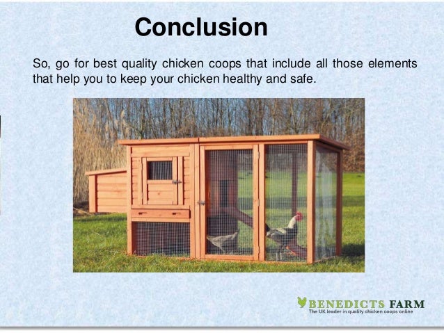 Top elements to consider for your chicken coops design